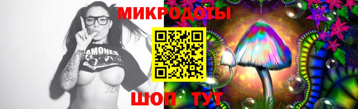 хочу   Псилоцибиновые грибы GOLDEN TEACHER  Вход с VPN  Ковров 